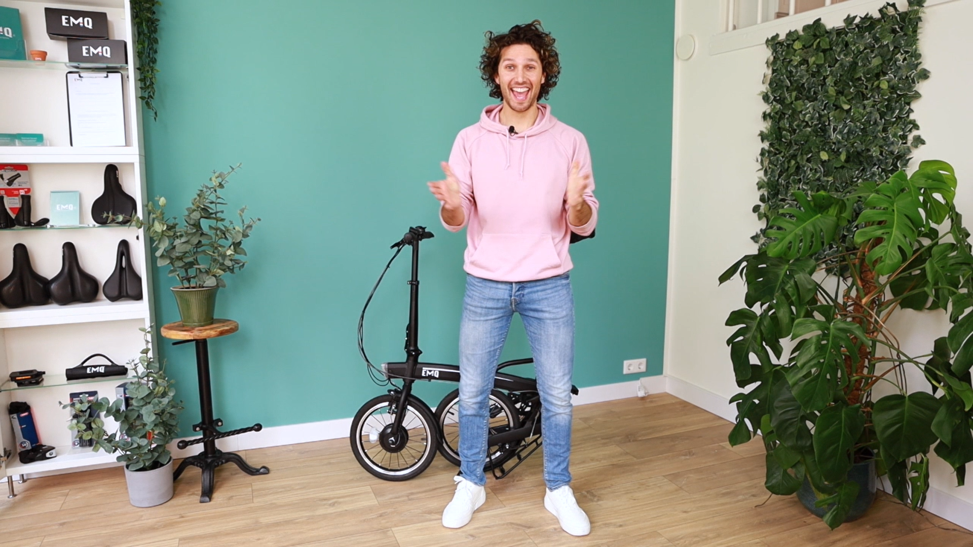 e bike accu