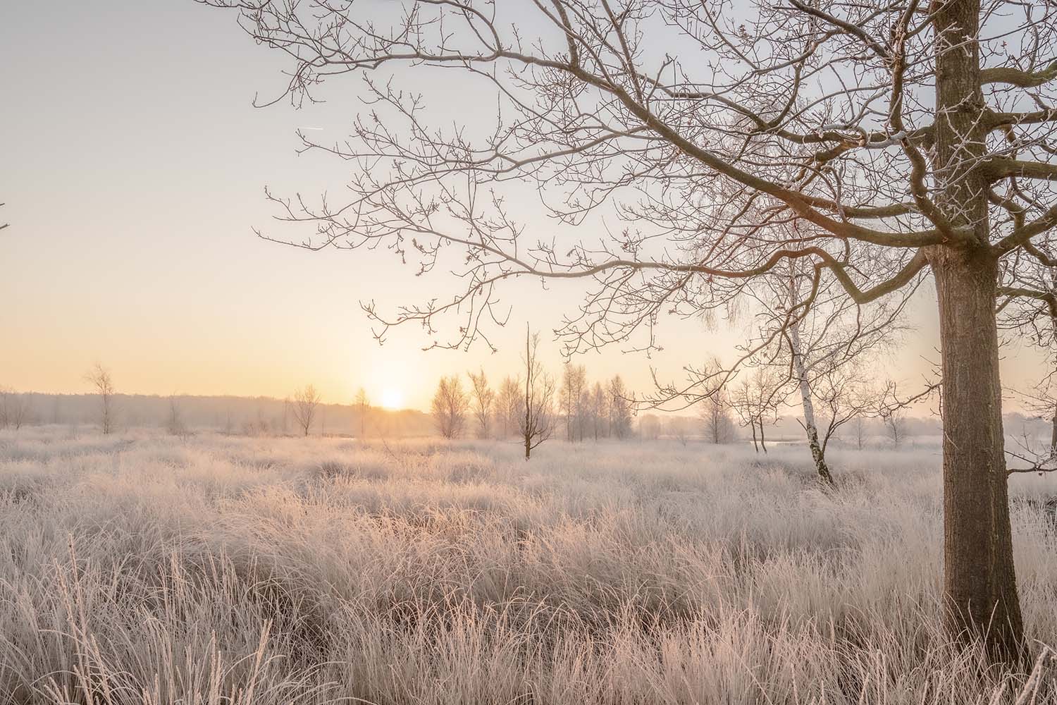 fietsen in de winter