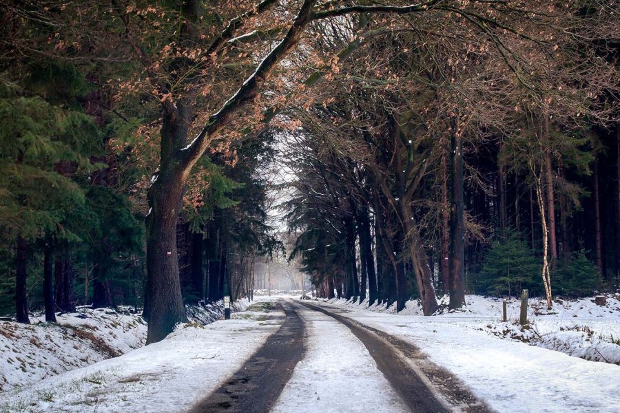 fietsen in de winter