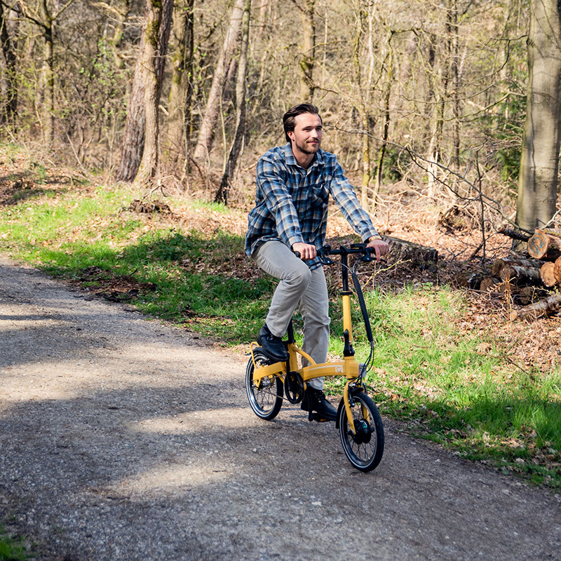 lichte elektrische vouwfiets